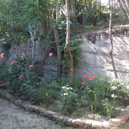 Guesthouse Malkhazi Borjomi Esterno foto